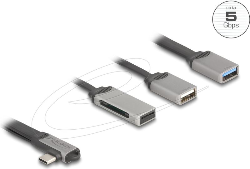 Delock - 2 Port USB Hub - Grijs - Inclusief SD en Micro SD Card Reader