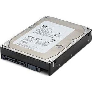 HP 300GB 10.000 RPM 6GBA2,5IN (0.30 TB, 2.5"), Harde schijf