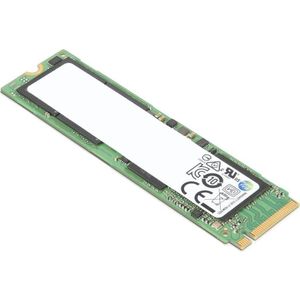 Lenovo Ssd asm (256 GB, 2.5"), SSD
