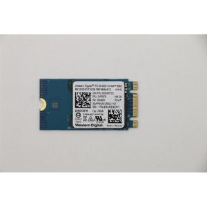 Lenovo SDK 1101 256G M.2 PCIe 2242 SS (256 GB, M.2 2242), SSD