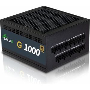 Evolveo G1000 PCIe 5.0, zdroj 1000W, ATX 3.0, 80+ GOLD, 90% účinnost, aPFC, 140mm ventilator, retai (1000 W), PC-voedingseenheid, Zwart