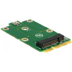 Delock - Adapter MiniPCIe > M.2 NGFF - Converter - Ondersteunt 2242, 2230, 3042 en 3030 formaat