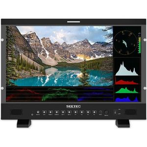Feelworld SEETEC P215 Pro Broadcast Monitor (21.50", Volledige HD), Videomonitoren, Zwart