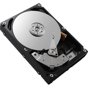 DELL 01P7DP interne harde schijf 3.5" 2 TB SATA