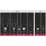 Paulmann - Gouden Globe - LED Lamp - Warmwit - E27 Fitting - 7W