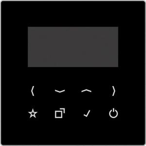 JUNG Weergave DABLSBT-DISPSW (Radiotuner), HiFi component, Zwart