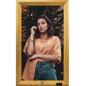 Kodak WF173V WiFi, wortelhout, Camera, Bruin