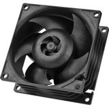 ARCTIC S8038-7K Processor Ventilator 8 cm Zwart 1 stuk(s)