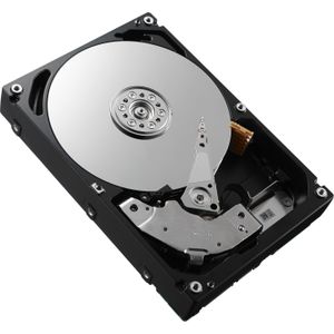 Dell HD,2.4T,102E,IS12,2.5,S-SKB,EC (2.40 TB, 2.5"), Harde schijf