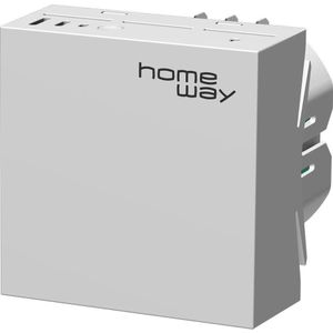 Homeway LAN/Mesh-module (1200 Mbit/s), Toegangspunt