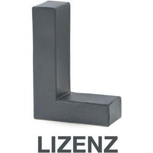 Microsoft MS Liz Project Pro voor Windows