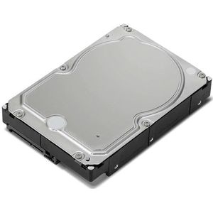 Lenovo Harde schijf - 10 TB - intern - 3,5" (8,9 cm) (10 TB, 3.5"), Harde schijf