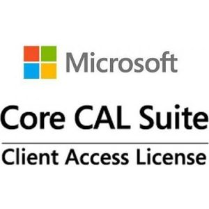 Microsoft MS Liz CoreCAL Gebruiker CAL,YR1,1TZ voor Windows