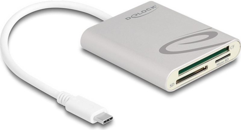 DeLOCK - 91005 - Geheugenkaartlezer - Grijs - USB 3.2 Gen 1 Type-C, 2 Sleuven