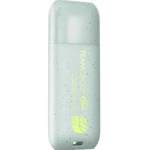 Team Group C175 ECO 256 GB (groen-grijs, USB-A 3.2 Gen 1) (256 GB, USB-A), USB-stick, Groen