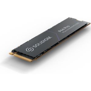 Intel SOLIDIGM SSD P44 PRO 512GB M.2 (512 GB, M.2 2280), SSD