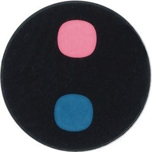 Samsung Venster display camera RS voor S908B Galaxy S22 Ultra (Galaxy S22 Ultra), Onderdelen voor mobiele apparaten