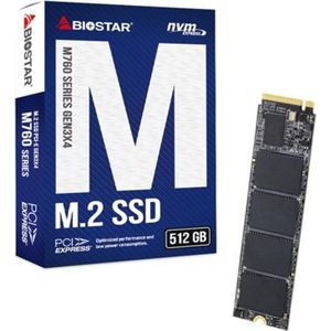 Biostar Dysk SSD Biostar M760 512 GB (512 GB, M.2), SSD