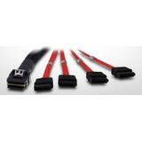 Intertech - SFF 8087 4x SATA Kabel - Zwart - 1 Meter - Interne Kabel