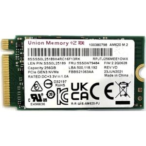 Lenovo SSD UM AM521 256G 2242 PCIe (256 GB, M.2 2242), SSD
