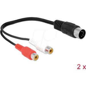 Delock 85835 Audiokabel DIN (5-polig) 2 x RCA (0.20 m), Audiokabel