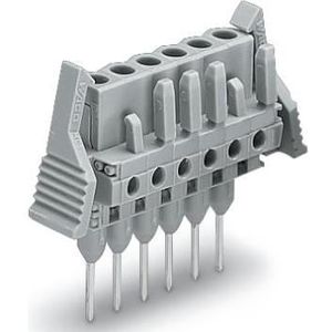 10x Wago Vrouwelijke connector voor aansluitblok, Elektronica benodigdheden + Behuizing, Grijs