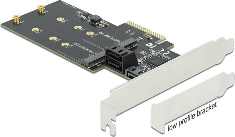 Delock - SATA-controller PCI-Ex4 - Storage Controller - Zwart - 3xSATA3, 2xM.2 Key-B
