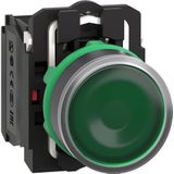 Verlichte Drukknop - Groen - Serie Harmony XB5 - IP66, IP67, IP69, IP69K