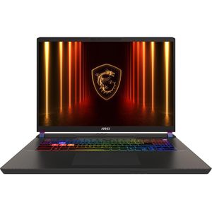 MSI Vector 17 HX AI A2XWHG-218FR (17", 1000 GB, 32 GB, FR, Intel Core Ultra 9 275HX), Notebook, Grijs