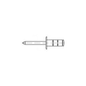 TOOLCRAFT TO-5380566 Blindnitter 6,4 mm Rustfrit stål 200 stk