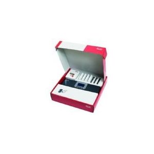 Roth Touchline®SL Steuergerät Master für 2 Räume