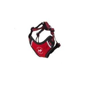 All for Cats Szelki sportowe, czerwone, r. S (VAT013582)