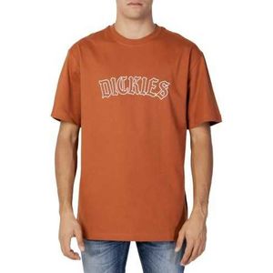 Dickies T-Shirt Man Color Brown Size S