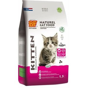 Bf petfood Premium quality kat kitten pregnant / nursing