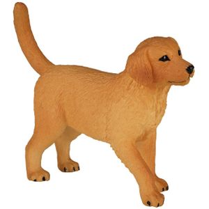 Mojo farmland golden retriever puppy 387205