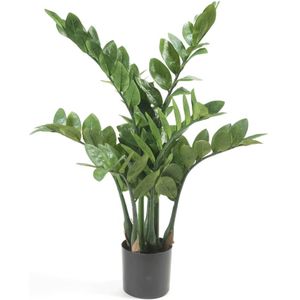 Emerald Kunstplant Zamioculcas 70 cm