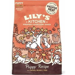 Lily's kitchen Dog puppy chicken / salmon