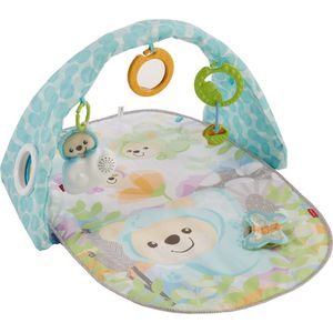 Fisher-price fisher-price vlinderdromen speelgym met muziek