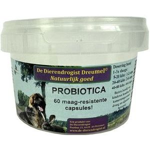 Dierendrogist probiotica capsules