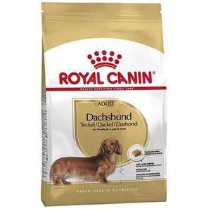 Royal canin Canin Canin dachshund / teckel adult