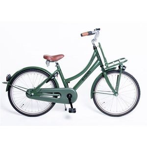 Aldo 20 inch cargo cruiser ds fiets leger groen