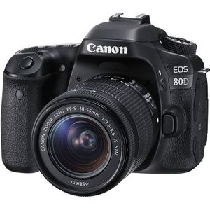 Canon EOS 80D DSLR - Tweedehands