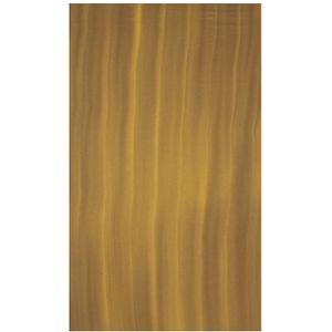 Botero Muslin Achtergronddoek 316 x 700cm Brown/Yellow nr. 067