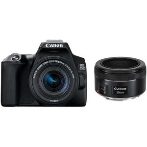 Canon EOS 250D DSLR Zwart + 18-55mm + 50mm f/1.8 STM