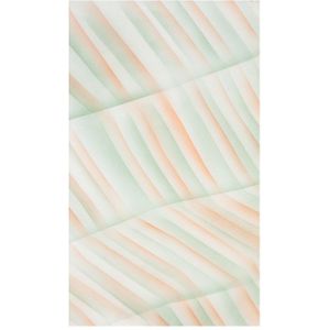 Botero Muslin Achtergronddoek 316 x 700cm Green/Orange/White nr. 054