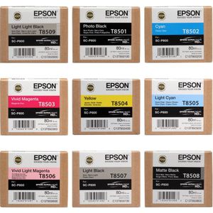 Epson Inktpatroonset T850-serie (9-pack)