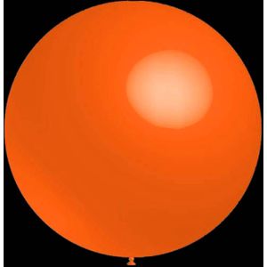 Oranje ballonnen - Rond - 30cm