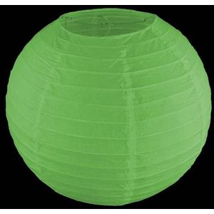 Groene lampion - 25cm