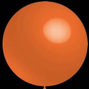 Decoratieve ballonnen - 30cm - Oranje