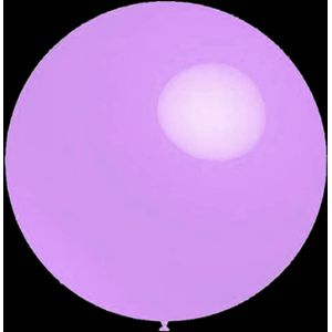 Paarse ballonnen - Pastel rond - 30cm